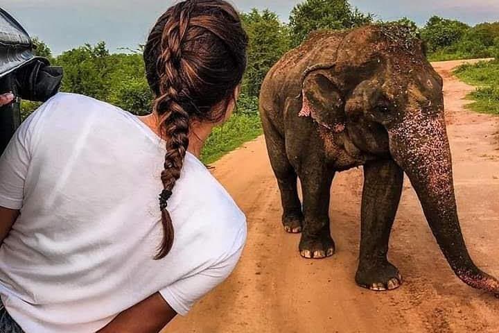 Best of Sri Lanka: 6-Day Cultural and Coastal Highlights from Kandy to Bentota