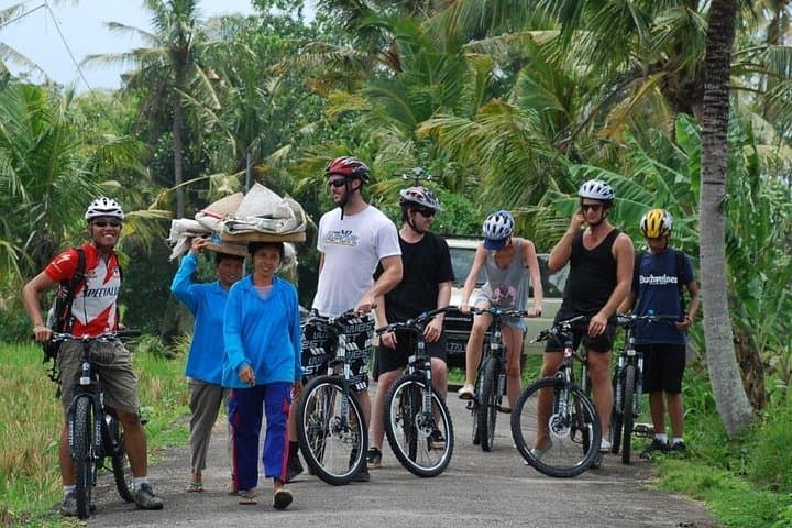 Ubud Countryside Cycling Tour — Kintamani to Rice Terraces (19 km) photo 2