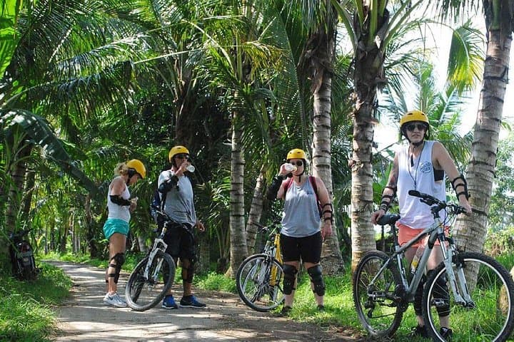 Ubud Countryside Cycling Tour — Kintamani to Rice Terraces (19 km) photo 3