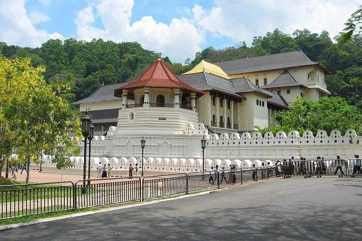 Kandy Private Day Tour from Bentota — Tea, Temple & Peradeniya Gardens