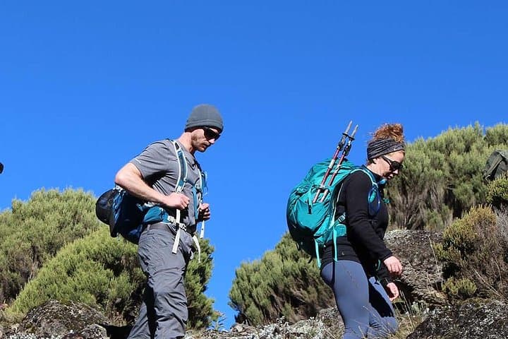 Conquer Kilimanjaro: 7-Day Umbwe Route Climb to Uhuru Peak photo 3