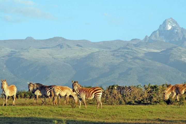 Mount Meru 4-Day Hike: Summit Socialist Peak from Arusha photo 4