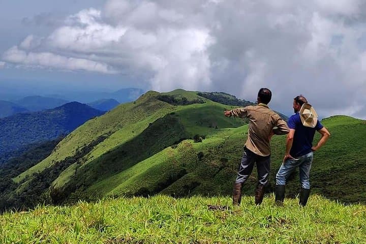 Half-Day Guided Trek in Madikeri: Rainforest to Peak in 4 Hours
