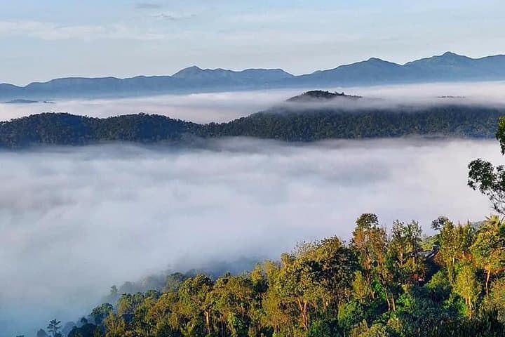 Half-Day Guided Trek in Madikeri: Rainforest to Peak in 4 Hours photo 6