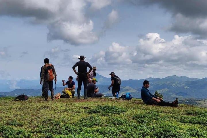 Half-Day Guided Trek in Madikeri: Rainforest to Peak in 4 Hours photo 2