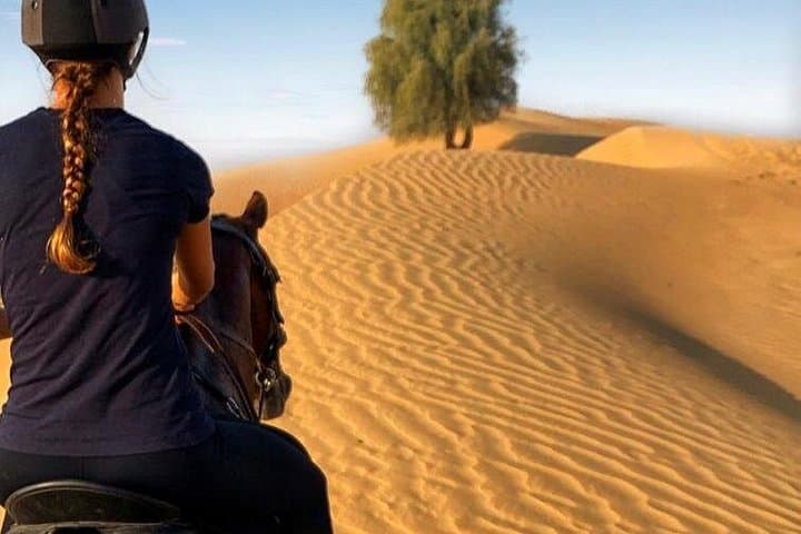 Sunrise & Sunset Desert Horse Riding in Dubai — 1-Hour Arabian Horse Experience photo 3