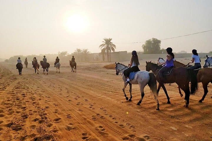 Sunrise & Sunset Desert Horse Riding in Dubai — 1-Hour Arabian Horse Experience photo 1