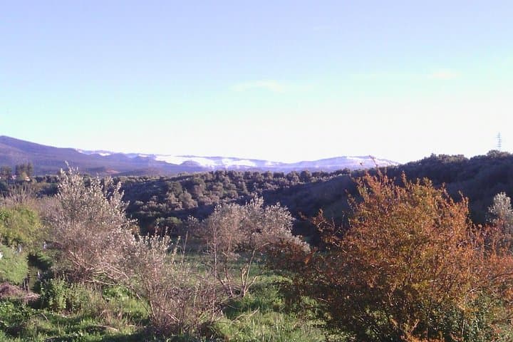 Atlas Mountains Day Trip from Fez — Cedar Forests, Ifrane & Barbary Monkeys photo 3