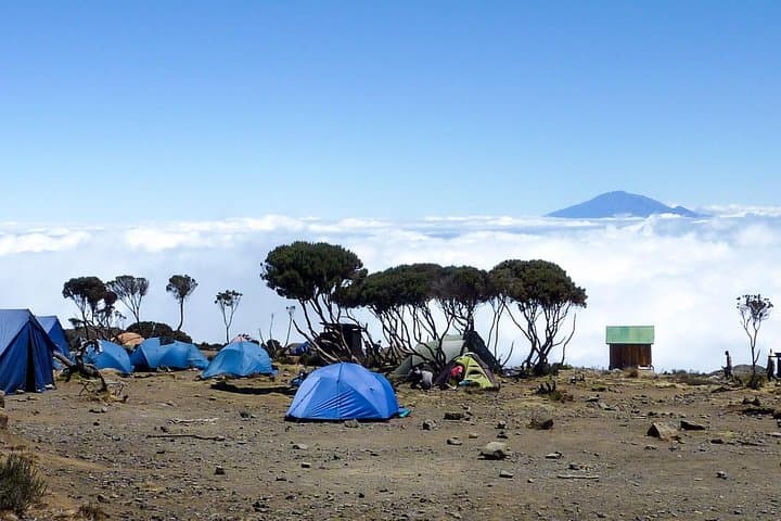 Rongai Route: 7-Day Kilimanjaro Trek from Moshi to Uhuru Peak photo 4