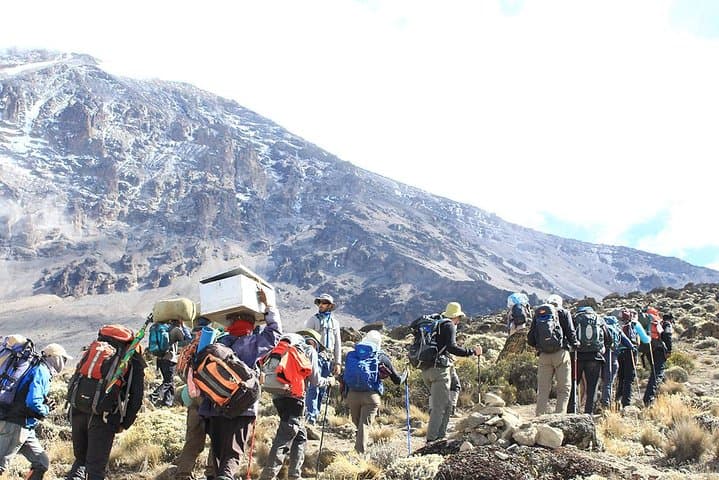 Summit Kilimanjaro via the Machame Route: 8-Day Guided Ascent to Uhuru Peak