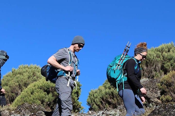 7-Day Marangu Route Mount Kilimanjaro Trek and Uhuru Peak Summit photo 3