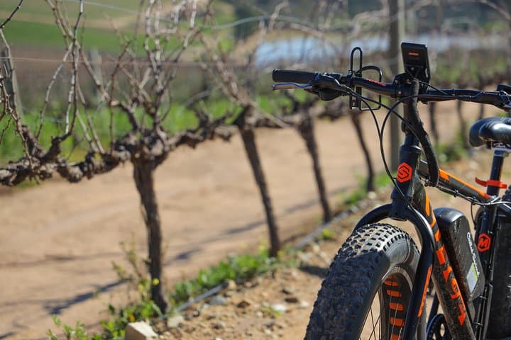 E‑Bike Winelands Tour: Cycle Through Stellenbosch Vineyards with Tastings & Cellar Visits photo 2