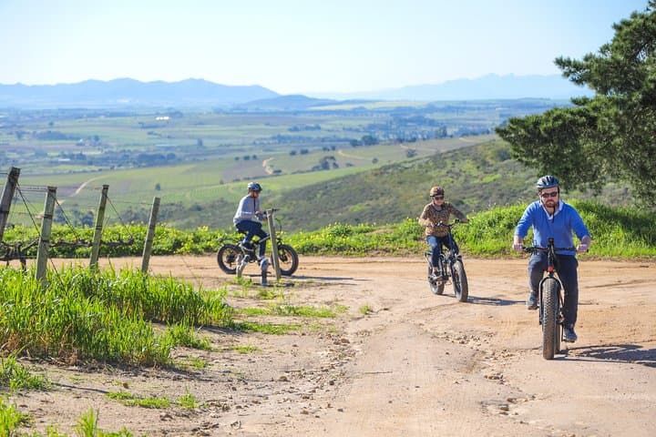 E‑Bike Winelands Tour: Cycle Through Stellenbosch Vineyards with Tastings & Cellar Visits photo 3