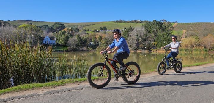 E‑Bike Winelands Tour: Cycle Through Stellenbosch Vineyards with Tastings & Cellar Visits photo 4