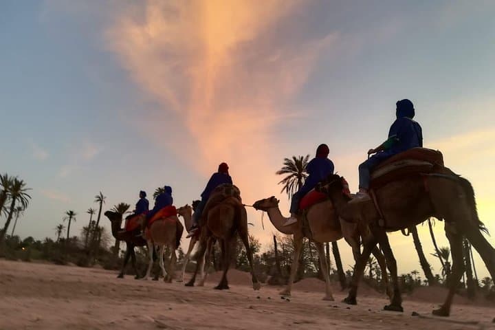 Sunset Camel Ride in Marrakech Palmeraie — Camel Tour, Berber House & Mint Tea