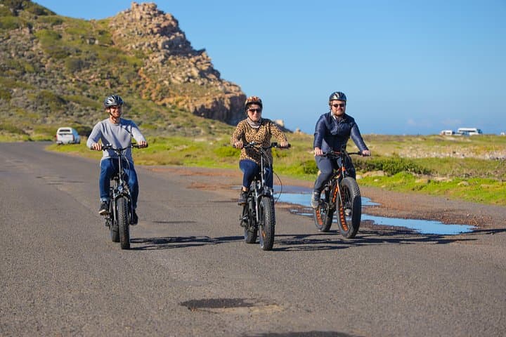 E-Bike Cape Peninsula Tour: Cape Point, Wildlife & Coastal Rides photo 3