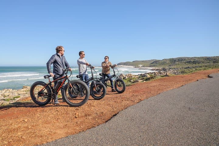 E-Bike Cape Peninsula Tour: Cape Point, Wildlife & Coastal Rides photo 4