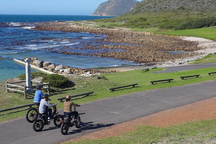E-Bike Cape Peninsula Tour: Cape Point, Wildlife & Coastal Rides photo 6