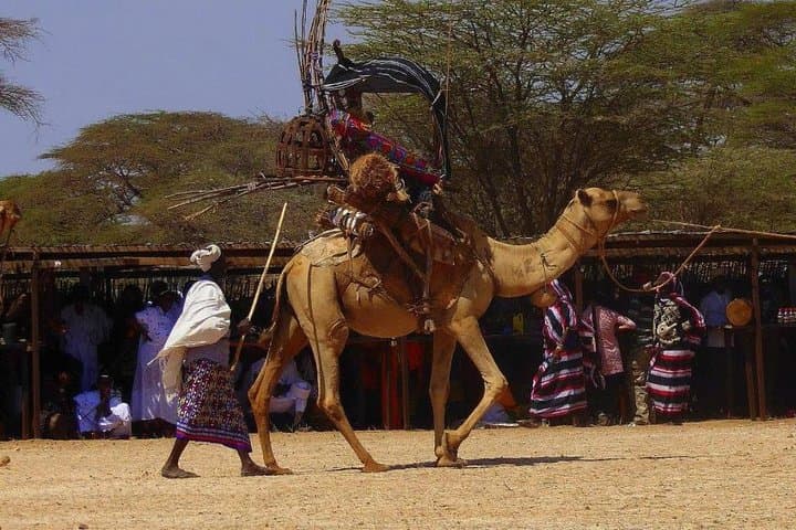 9-Day Kenyan Camping Safari: Samburu, Mara, Amboseli & Rift Valley photo 6