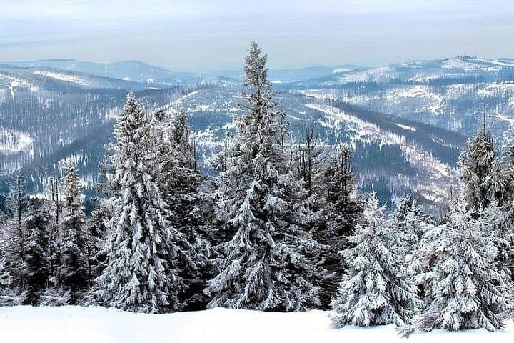 Private Zakopane Day Trip from Krakow — Tatra Mountains & Gubalowka Funicular photo 5