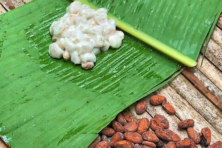 Boti Falls & Ghana Cocoa Trail: One-Day Trip from Accra to Aburi and Tetteh Quarshie Farm photo 5