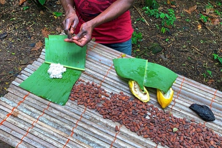 Boti Falls & Ghana Cocoa Trail: One-Day Trip from Accra to Aburi and Tetteh Quarshie Farm