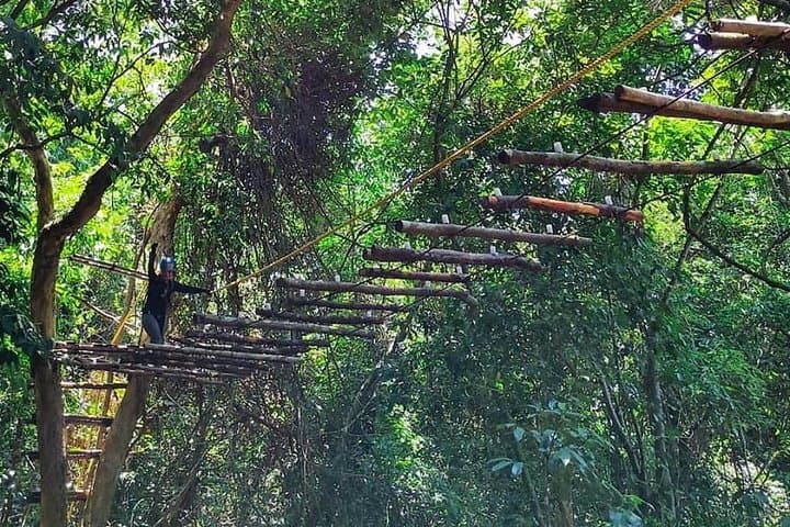 High Ropes Course in Madikeri: Tree-Top Adventure & Ziplines Over Coorg Hills