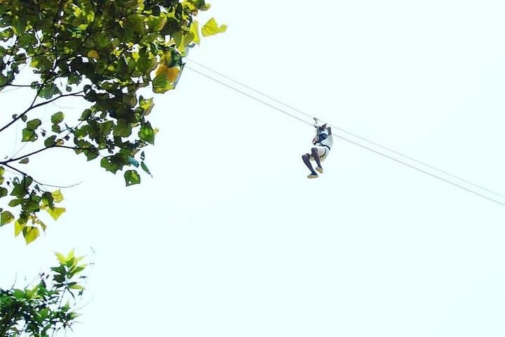 High Ropes Course in Madikeri: Tree-Top Adventure & Ziplines Over Coorg Hills photo 2