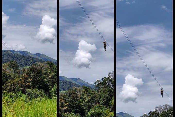 High Ropes Course in Madikeri: Tree-Top Adventure & Ziplines Over Coorg Hills photo 3