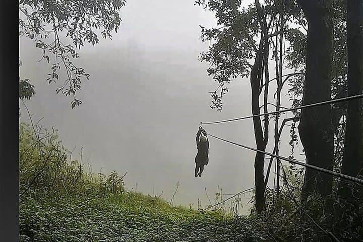 High Ropes Course in Madikeri: Tree-Top Adventure & Ziplines Over Coorg Hills photo 4