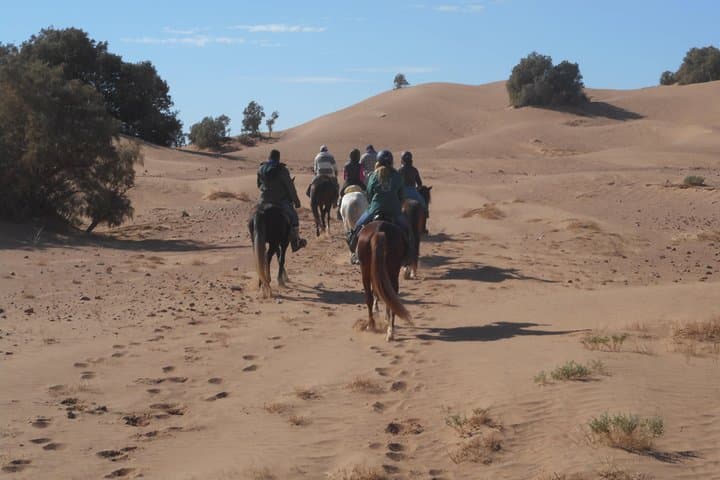 Morocco Desert Trail on Horseback: 6-Day Zagora to Jebel Bani Ride photo 3