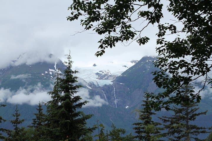 Chilkat Inlet Coastal Hike: Haines Half-Day Rainforest & Fjord Views photo 3