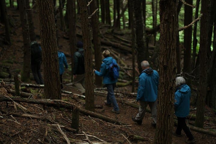 Chilkat Inlet Coastal Hike: Haines Half-Day Rainforest & Fjord Views photo 4
