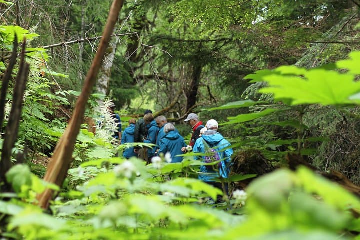 Chilkat Inlet Coastal Hike: Haines Half-Day Rainforest & Fjord Views photo 1