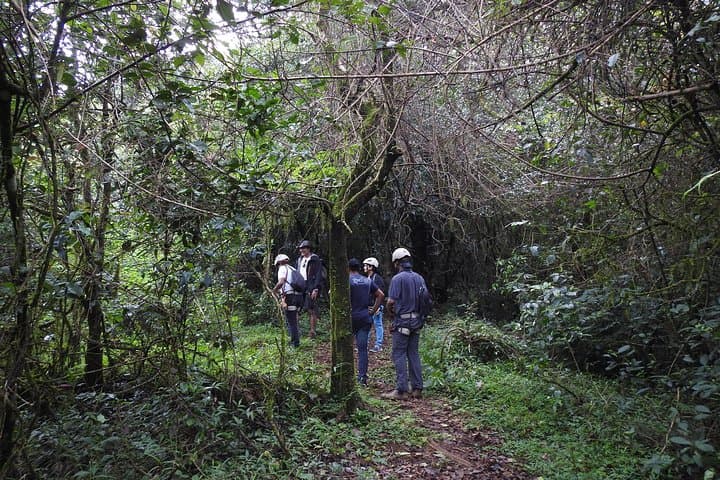 Canopy Rope Course in Coorg — Tree Top Adventure in the Western Ghats