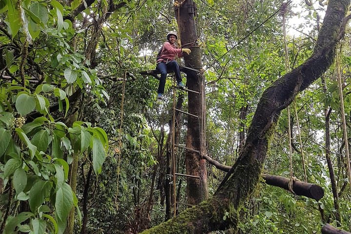 Canopy Rope Course in Coorg — Tree Top Adventure in the Western Ghats photo 3