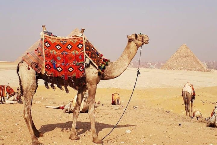 Sunrise & Sunset Camel Ride Around the Giza Pyramids: A Desert Hour with a View photo 5
