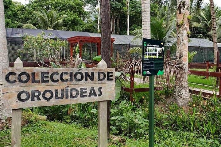 Lancetilla Botanical Garden: Tropical Plant Sanctuary Near Tela photo 3