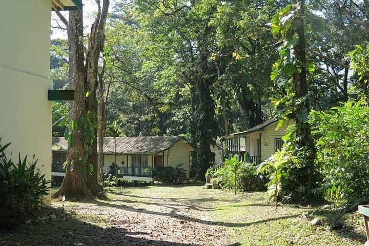 Lancetilla Botanical Garden: Tropical Plant Sanctuary Near Tela photo 4