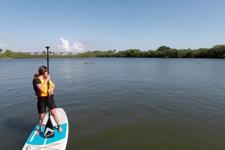 Round Island Kayak & Paddle Board Tour — Vero Beach Mangrove & Wildlife Paddle photo 2