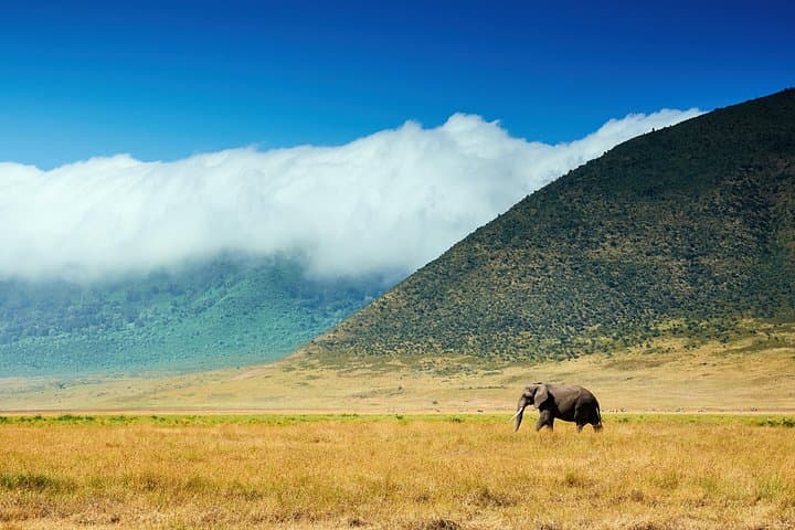 3-Day Tanzania Safari: Tarangire, Ngorongoro Crater & Lake Manyara photo 1