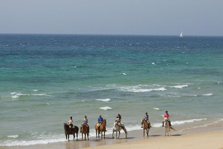 Horseback Riding in Tarifa: Beach and Mountain Rides with African Coast Views photo 5