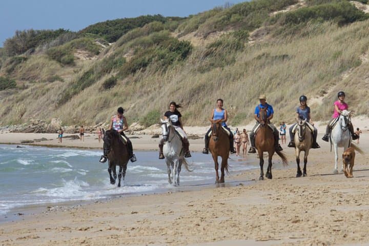 Horseback Riding in Tarifa: Beach and Mountain Rides with African Coast Views