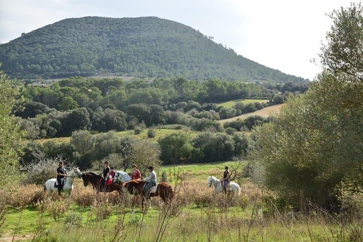 Horseback Riding the Randa Valleys: Mallorca Equestrian Trail Guide photo 2