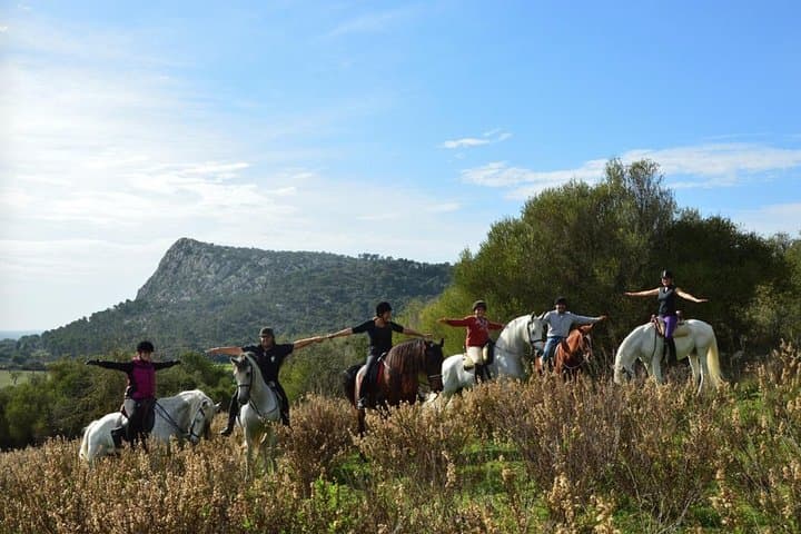 Horseback Riding the Randa Valleys: Mallorca Equestrian Trail Guide photo 3