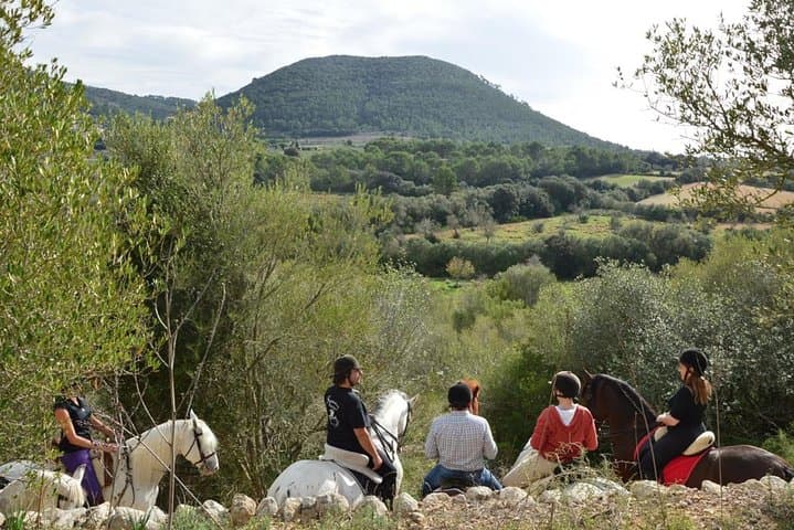 Horseback Riding the Randa Valleys: Mallorca Equestrian Trail Guide photo 4