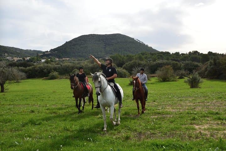 Horseback Riding the Randa Valleys: Mallorca Equestrian Trail Guide