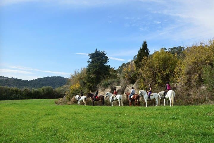 Horseback Riding the Randa Valleys: Mallorca Equestrian Trail Guide photo 5