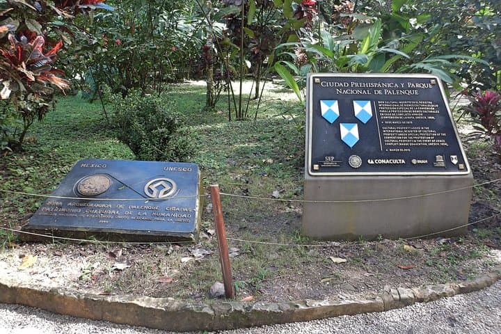 Palenque & Roberto Barrios Waterfalls: Day Tour to Maya Ruins and Emerald Cascades photo 6