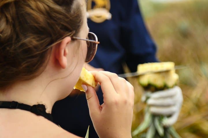 Maui Pineapple Farm Tour in Haliimaile: Upcountry Pineapple Fields & Tasting photo 4